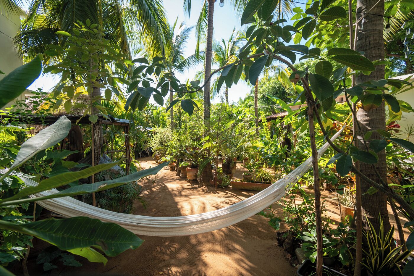 Photo - Hotel Villa Mozart y Macondo