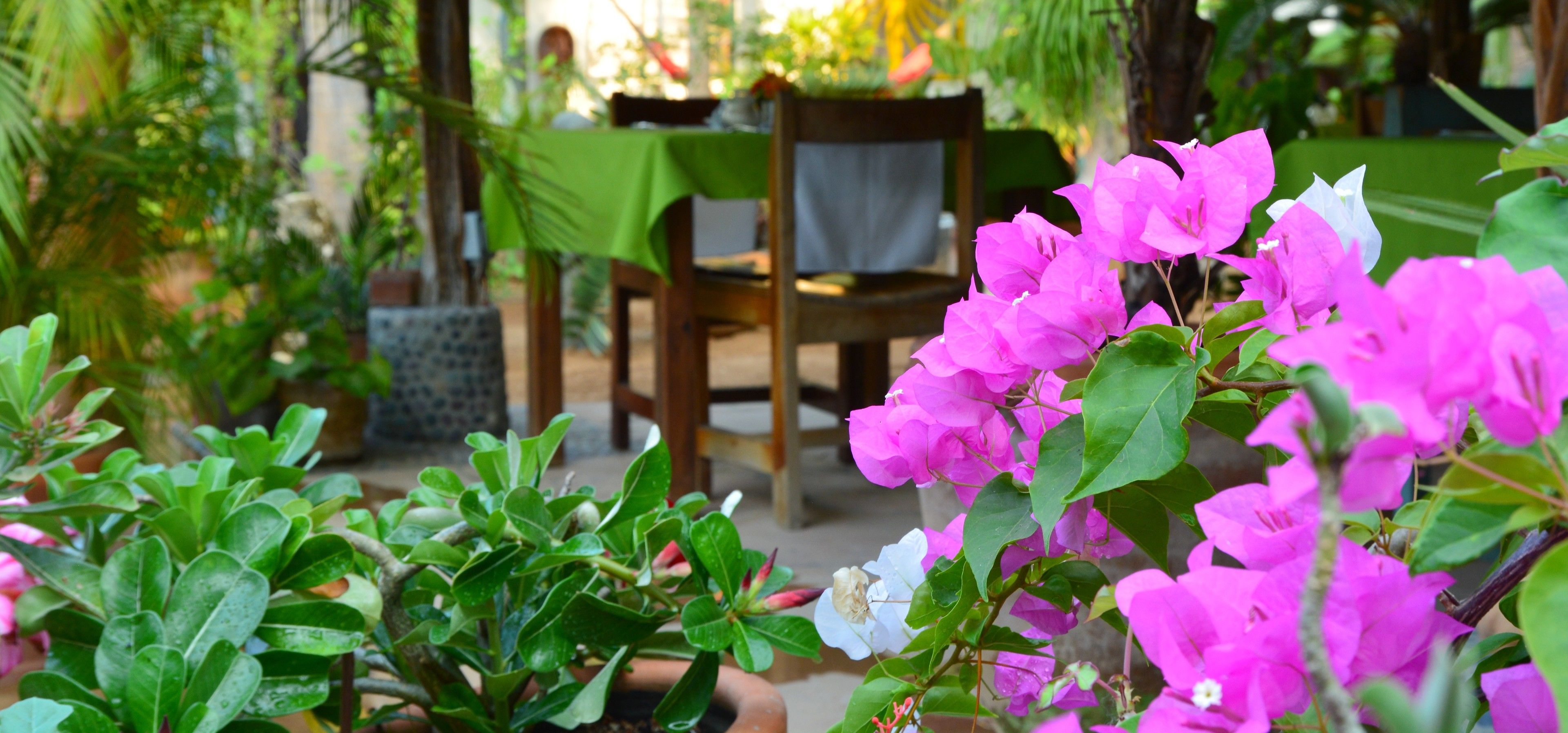 Photo - Hotel Villa Mozart y Macondo