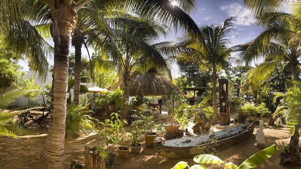 A tropical garden with palm trees, a thatched-roof hut, and a wooden boat.
