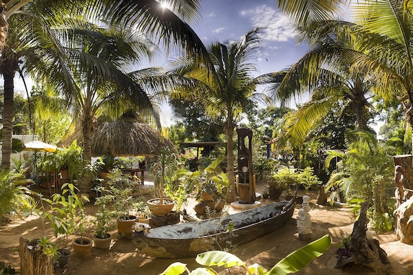 Jardín