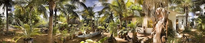 Villa Mozart y Macondo