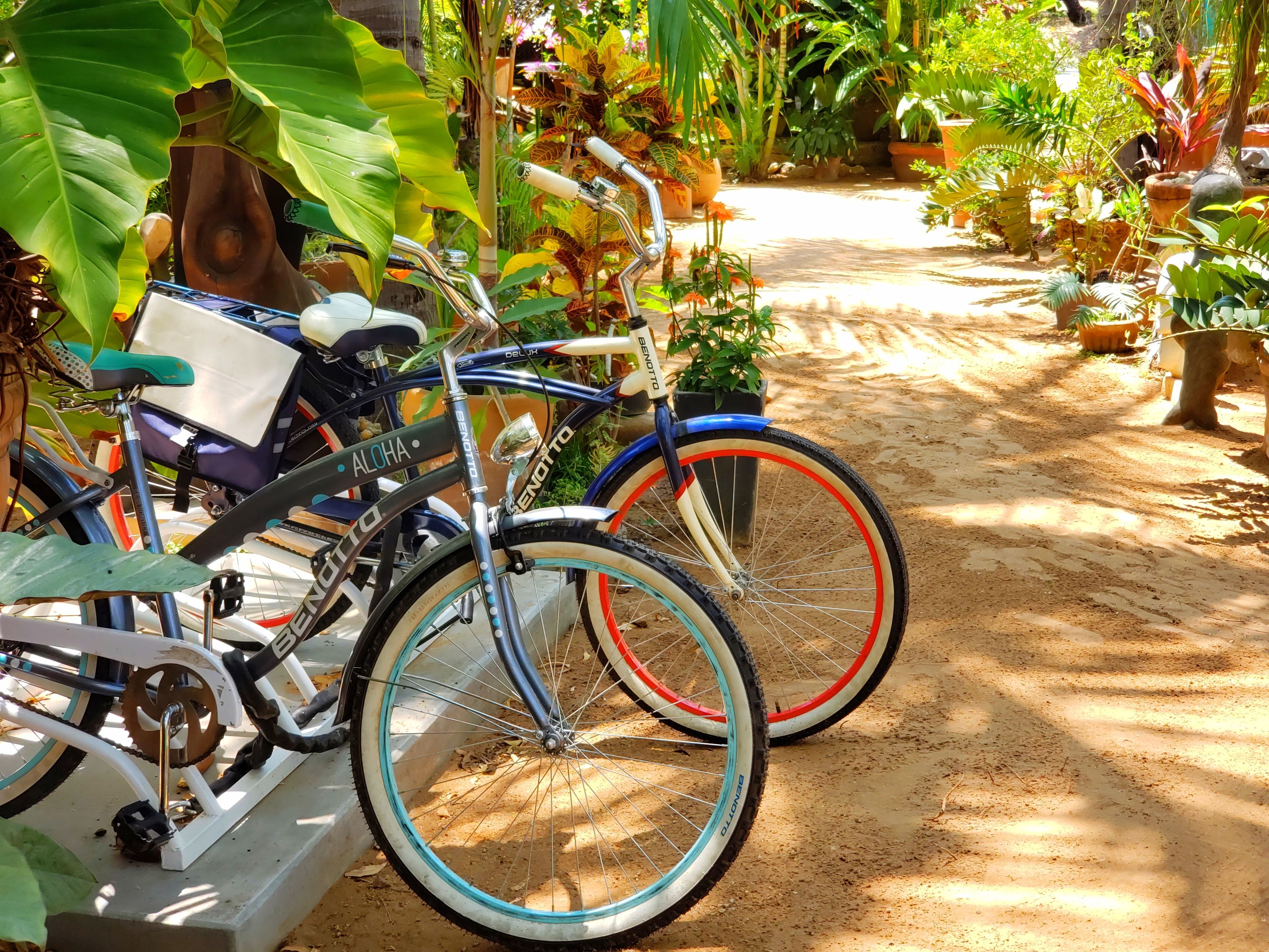 Photo - Hotel Villa Mozart y Macondo