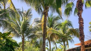 Two people relaxing in hammocks under palm trees in a tropical setting.