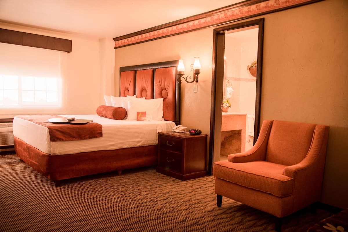 Una habitación de hotel con una cama grande, una mesita de noche, una silla y un espejo.