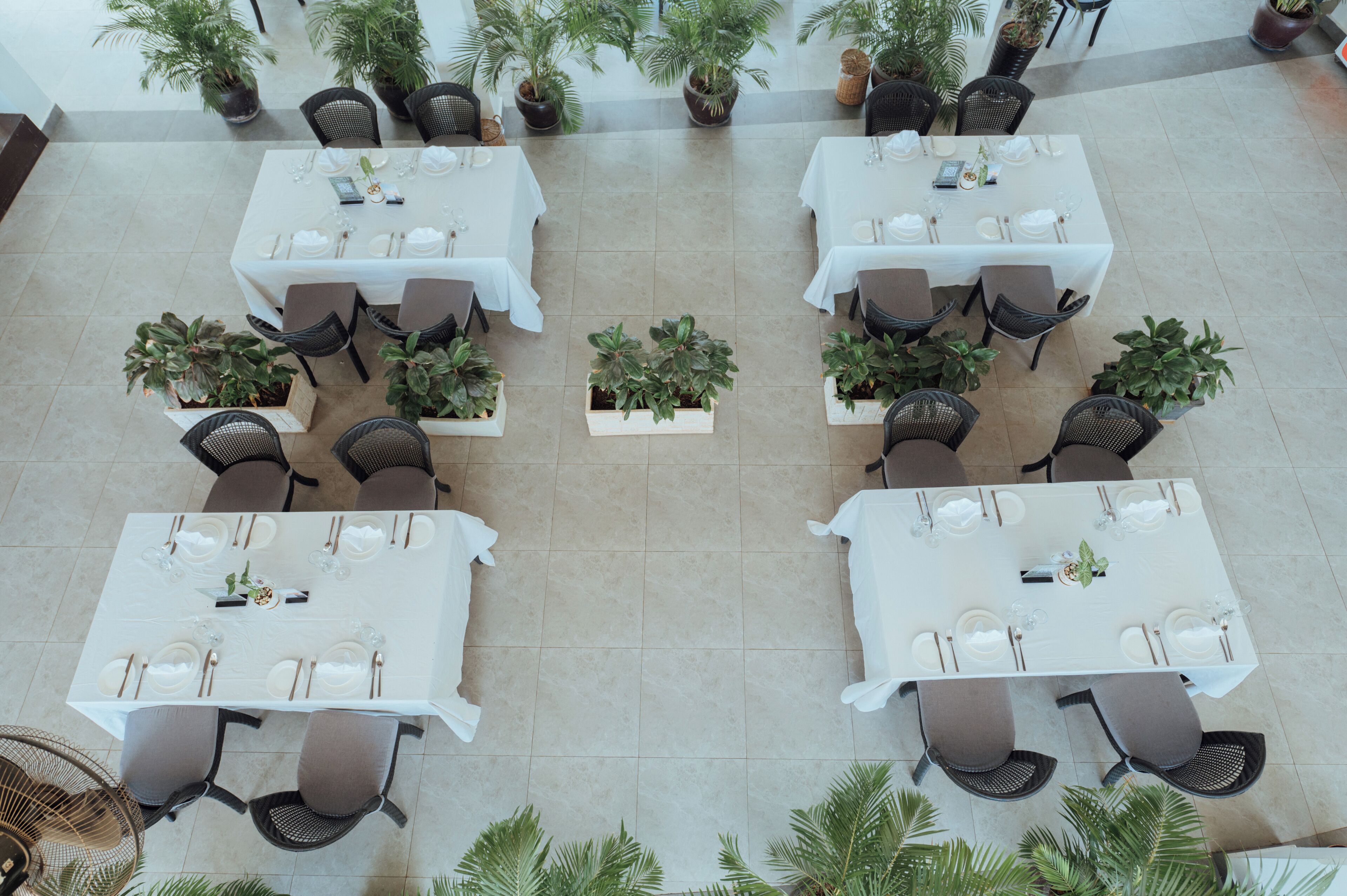 Un comedor amplio con varias mesas, cada una con mantel blanco, sillas y plantas en macetas.