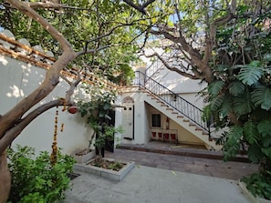A courtyard with a staircase leading to a white building, surrounded by greenery and potted plants. - Palkiya Haveli - A Heritage Home (Kota)