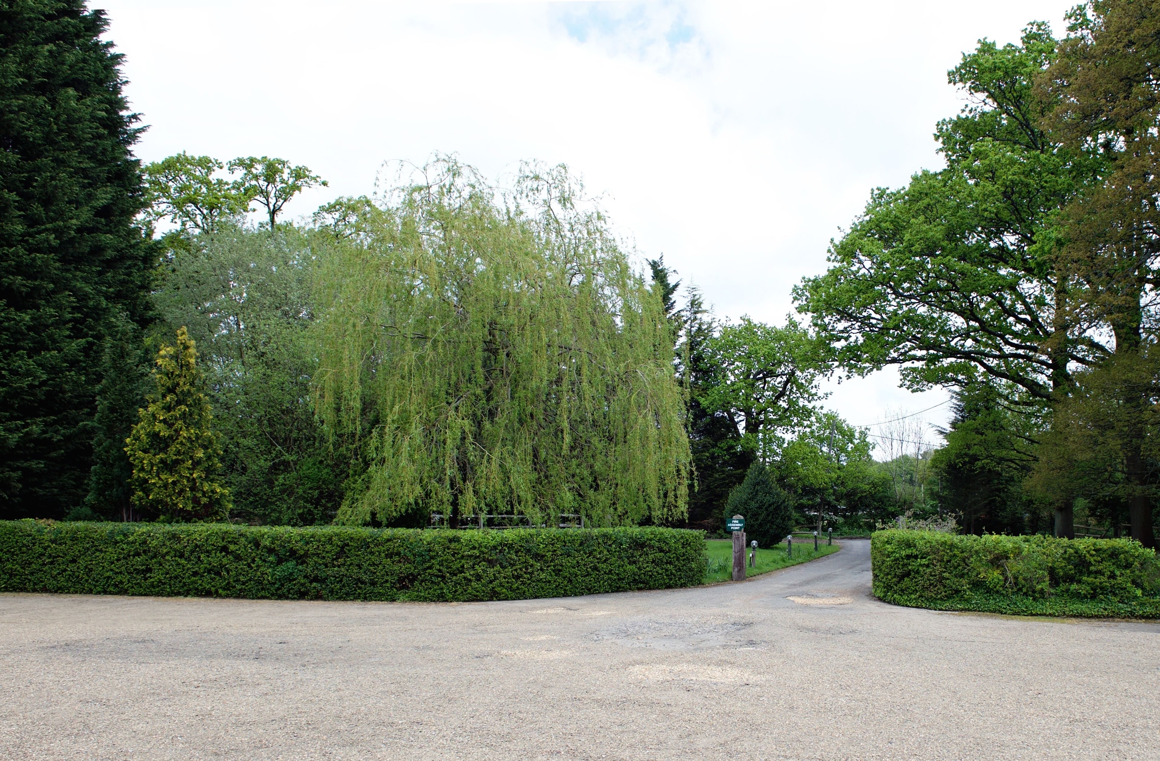 Foto - Little Foxes Hotel & Gatwick Airport Parking