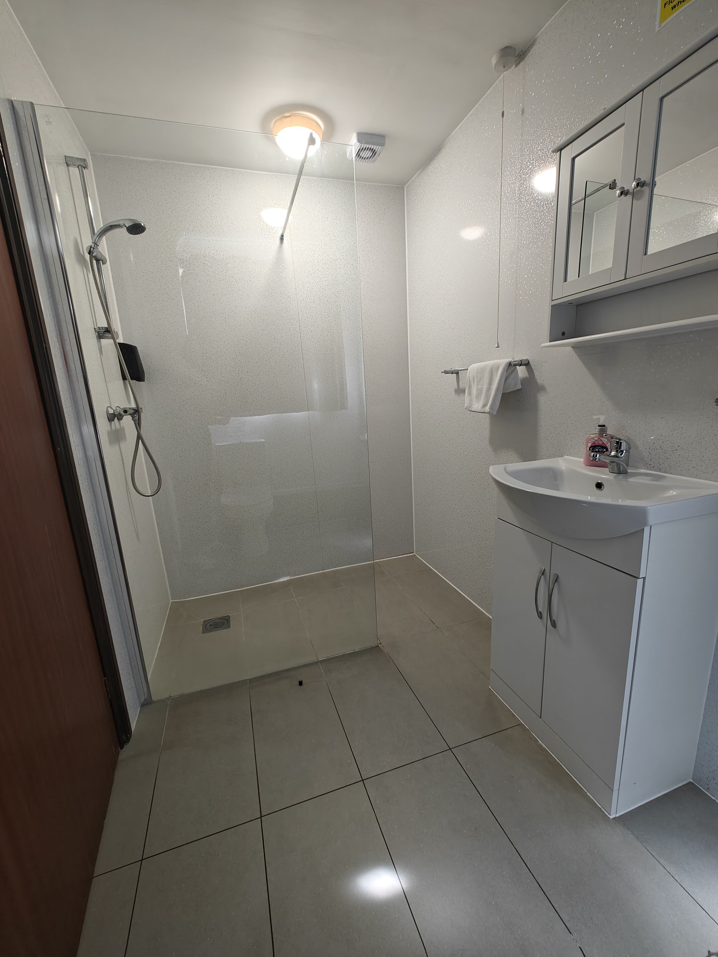 A bathroom with a shower, a sink, and a mirror.