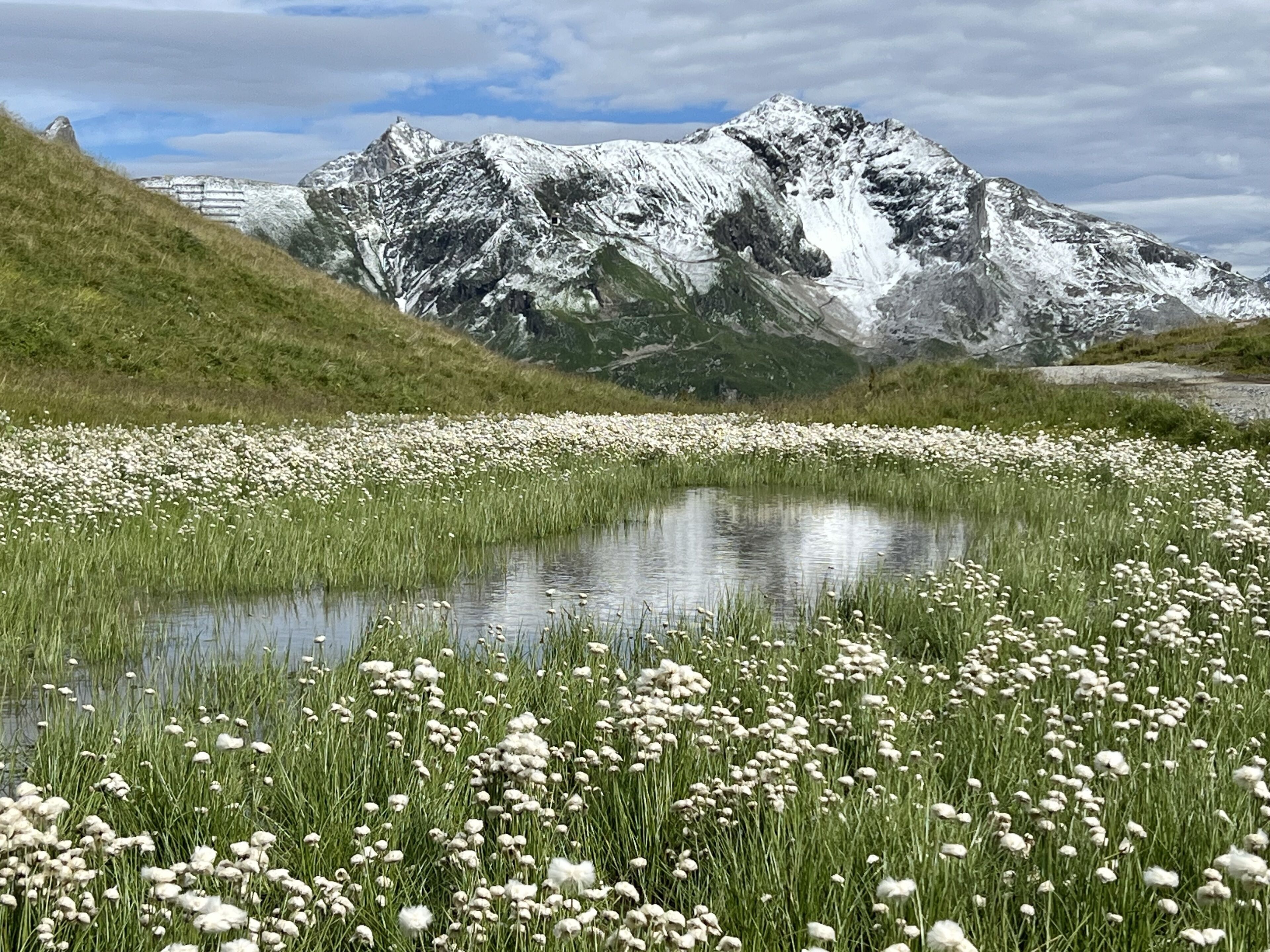 A mountain landscape with a pond in the foreground and snow-capped peaks in the background.