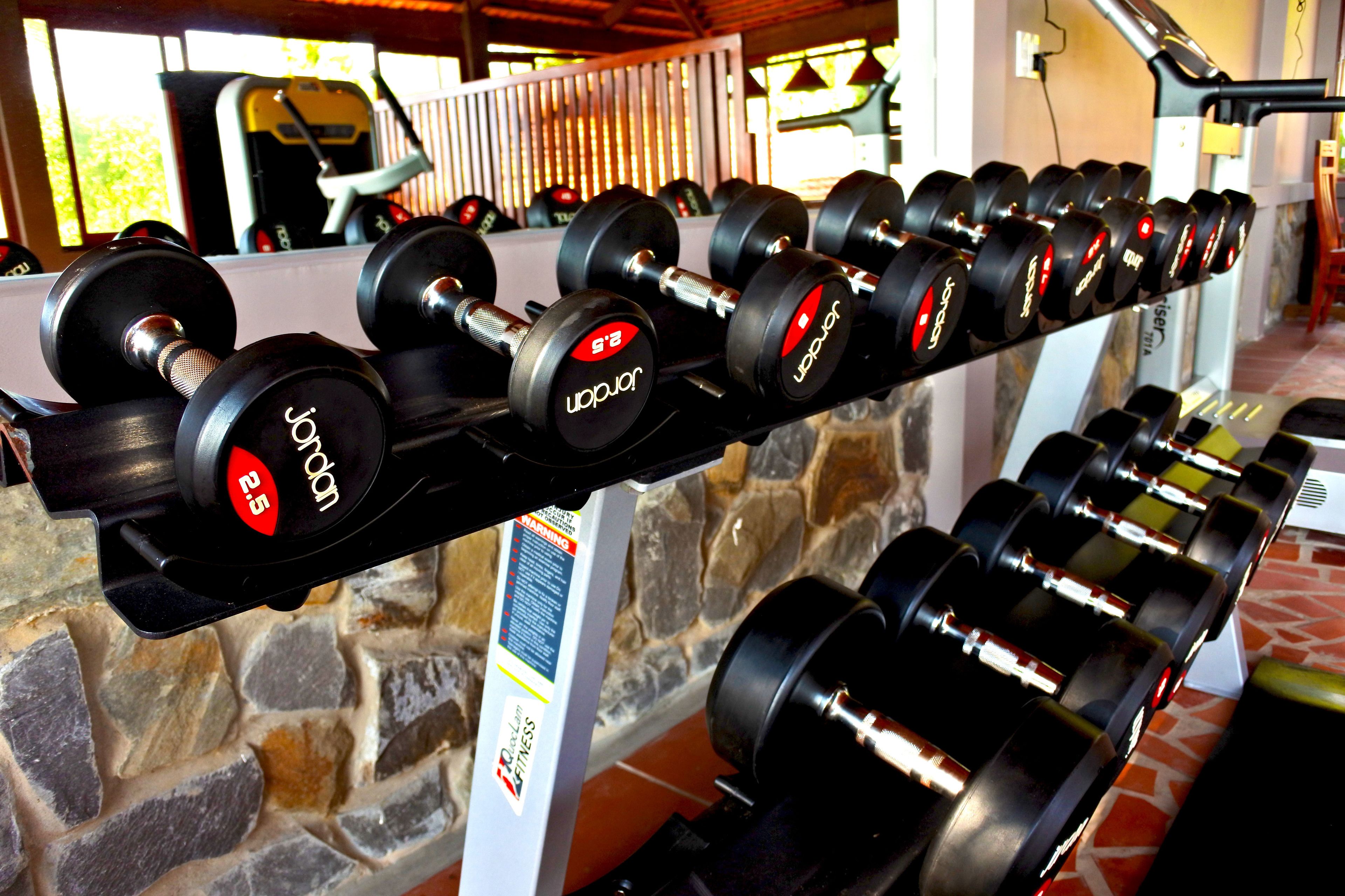 A row of adjustable dumbbells with red and black weights, mounted on a wall with a stone pattern.