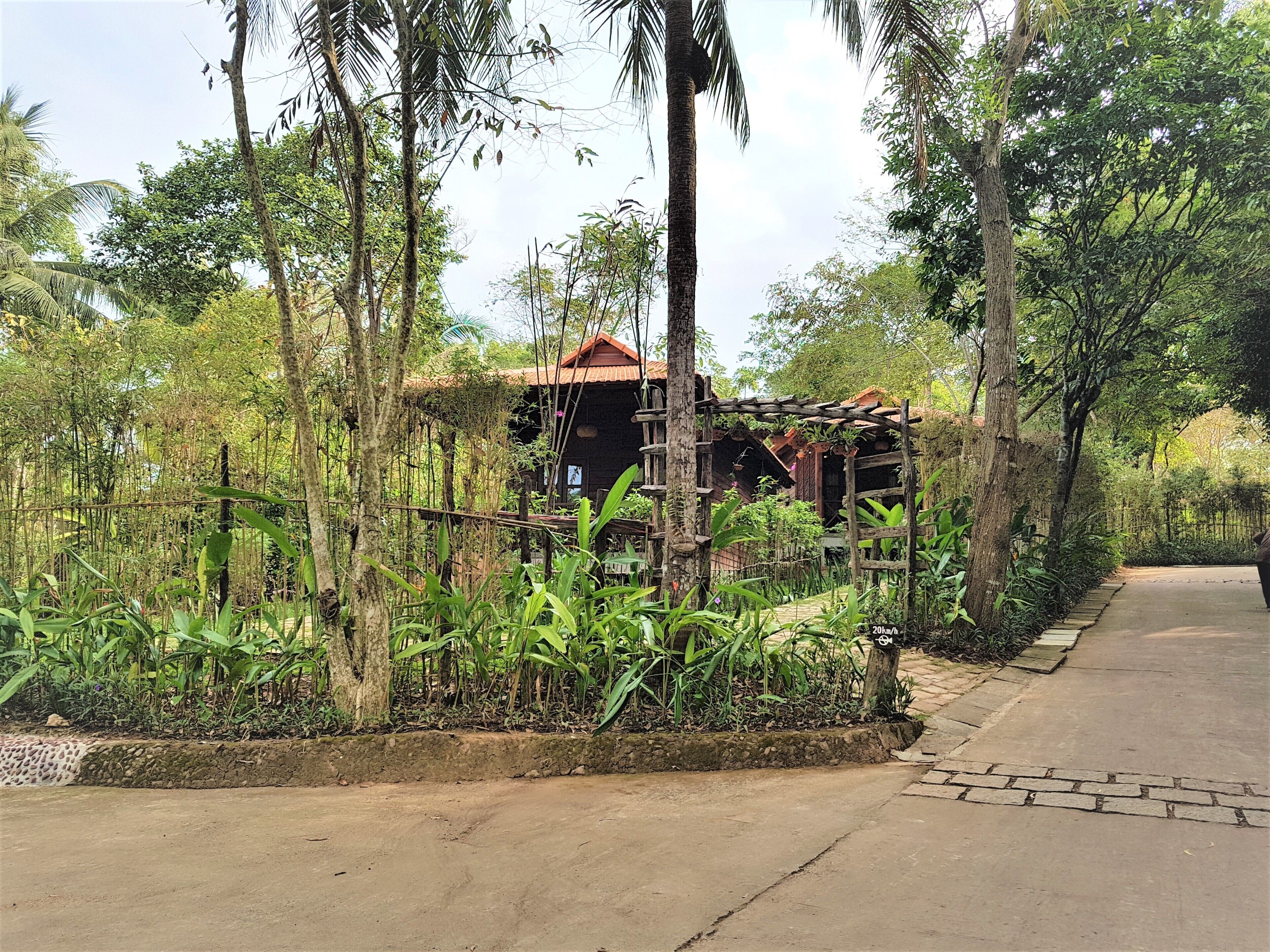 Una estructura de madera rústica rodeada de vegetación tropical exuberante, con un sendero pavimentado que conduce hacia ella.
