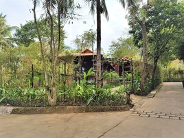 Una estructura de madera rústica rodeada de vegetación tropical exuberante, con un sendero pavimentado que conduce hacia ella.