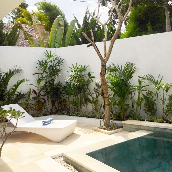 Outdoor pool, sun loungers