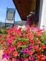 Placa da Starlight Lodge com mensagem de boas-vindas, rodeada por petúnias vibrantes.