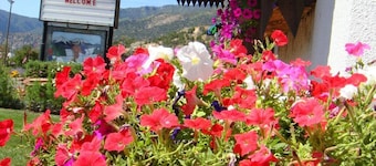 Starlight Lodge