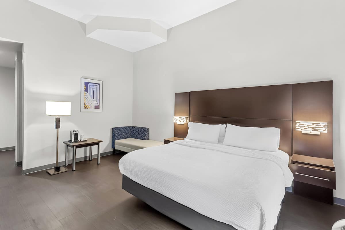 Standard Room, 1 King Bed, Accessible (Mobility, Roll-In Shower)