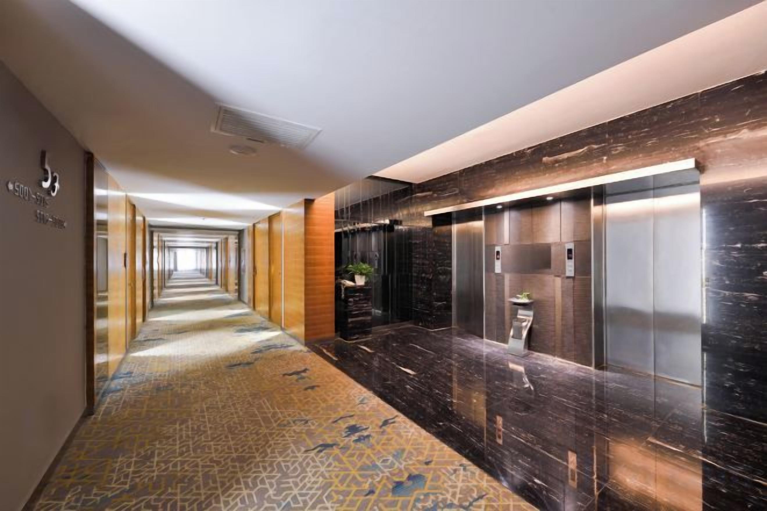 A hotel corridor with a patterned carpet, a wall-mounted plant, and a modern elevator.
