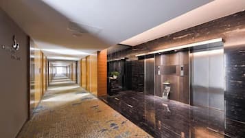 A hotel corridor with a patterned carpet, a wall-mounted plant, and a modern elevator.