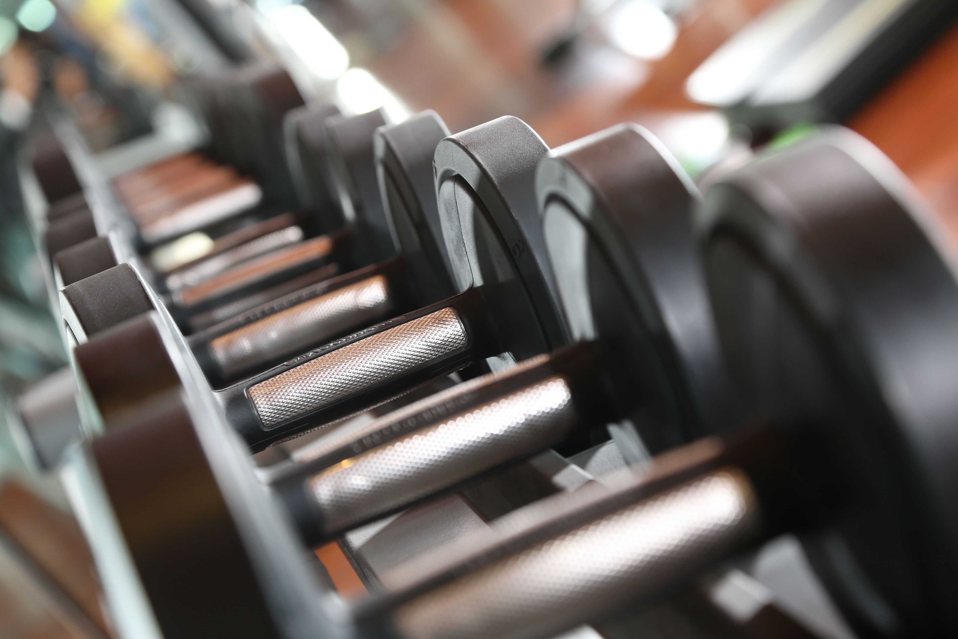 A close-up of a row of black dumbbells with metallic handles and rubber grips.