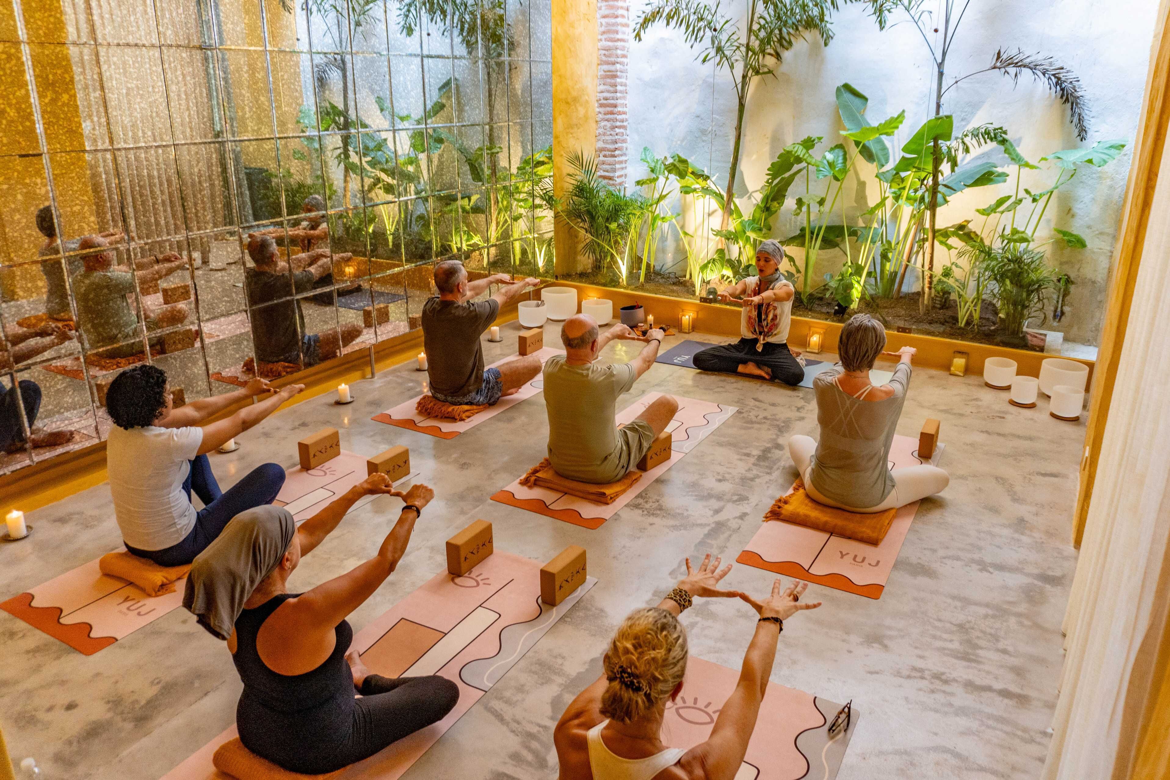 Un groupe de personnes pratiquant le yoga dans une pièce dotée de grandes fenêtres et agrémentée de plantes d’intérieur.