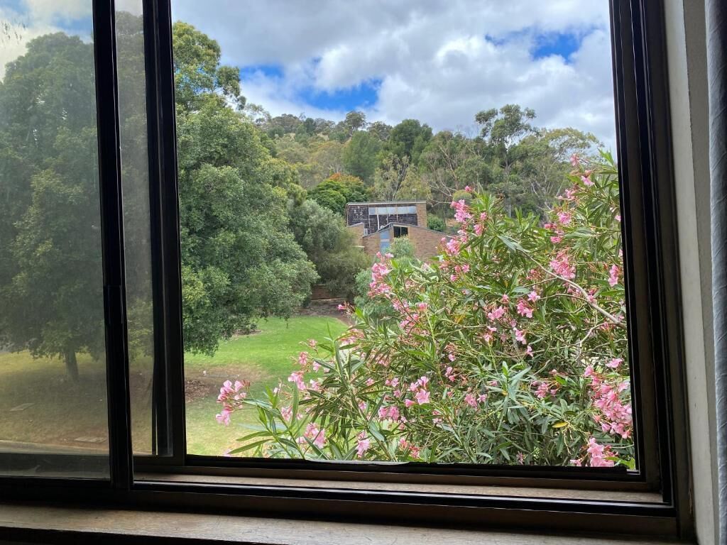 Blick durch ein Fenster, im Hintergrund ein Gebäude, umgeben von Grünflächen und Bäumen.