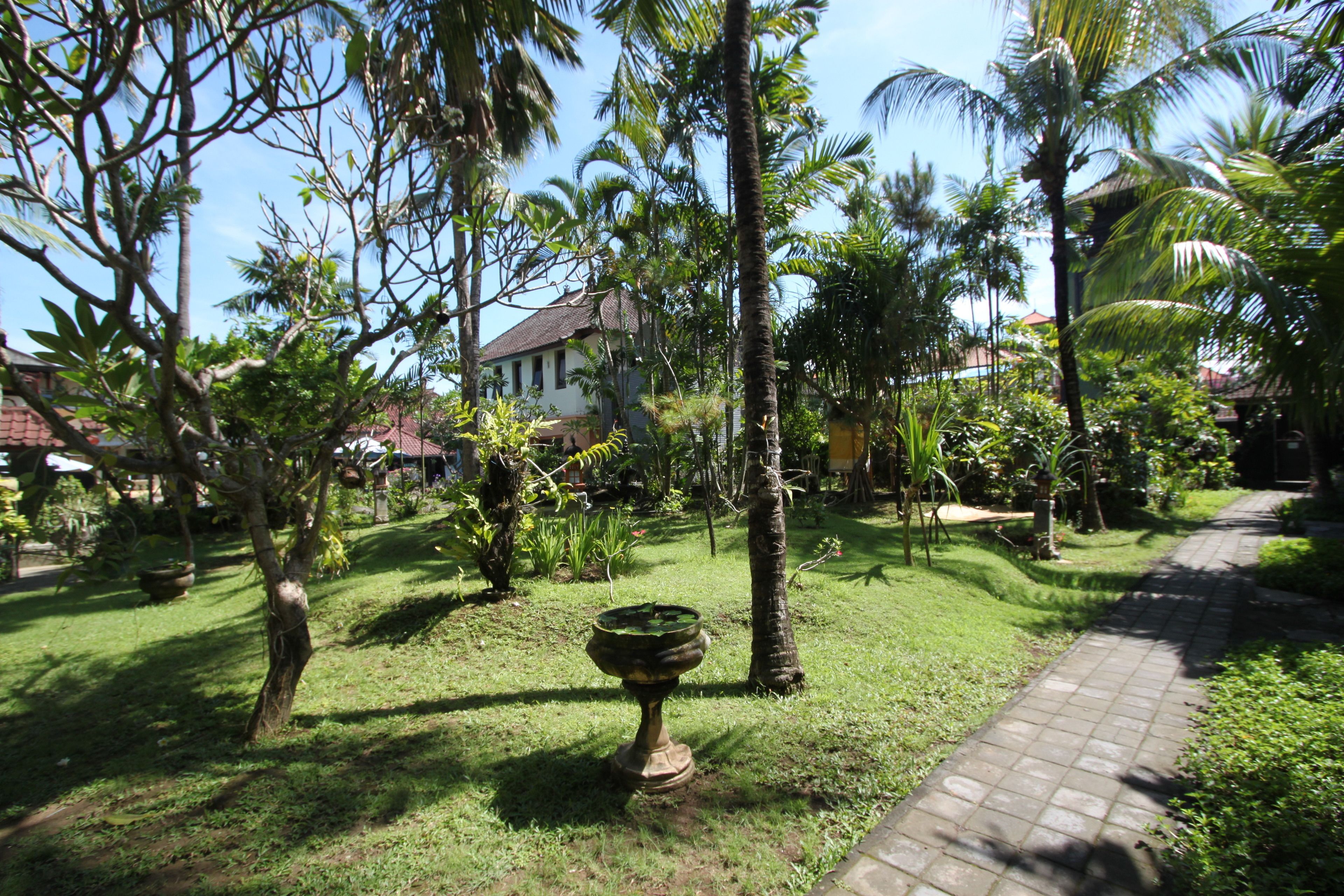 Um jardim com um caminho, palmeiras e uma casa ao fundo.