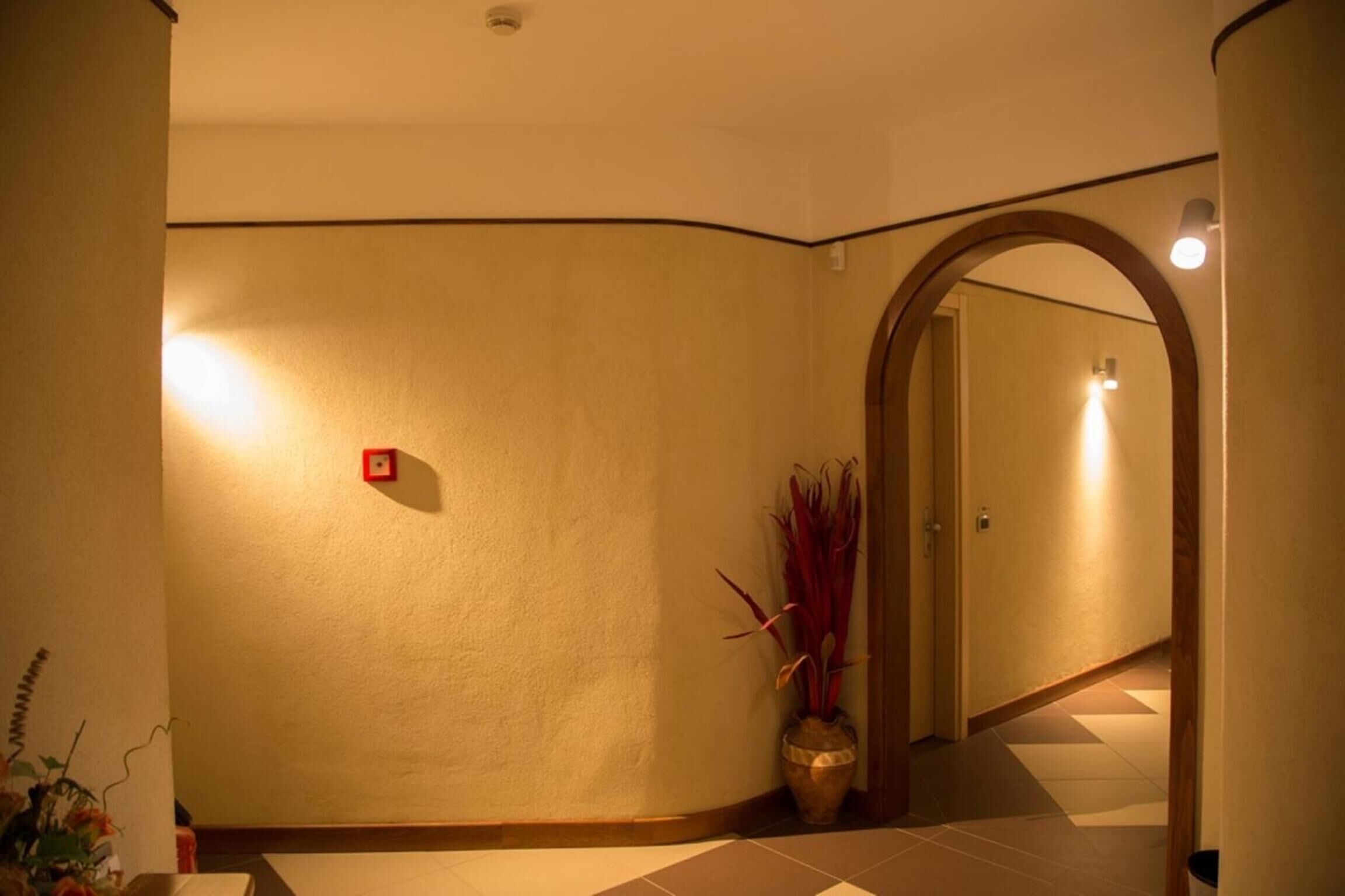 A hallway with a tiled floor, a potted plant, and a door with a mirror.
