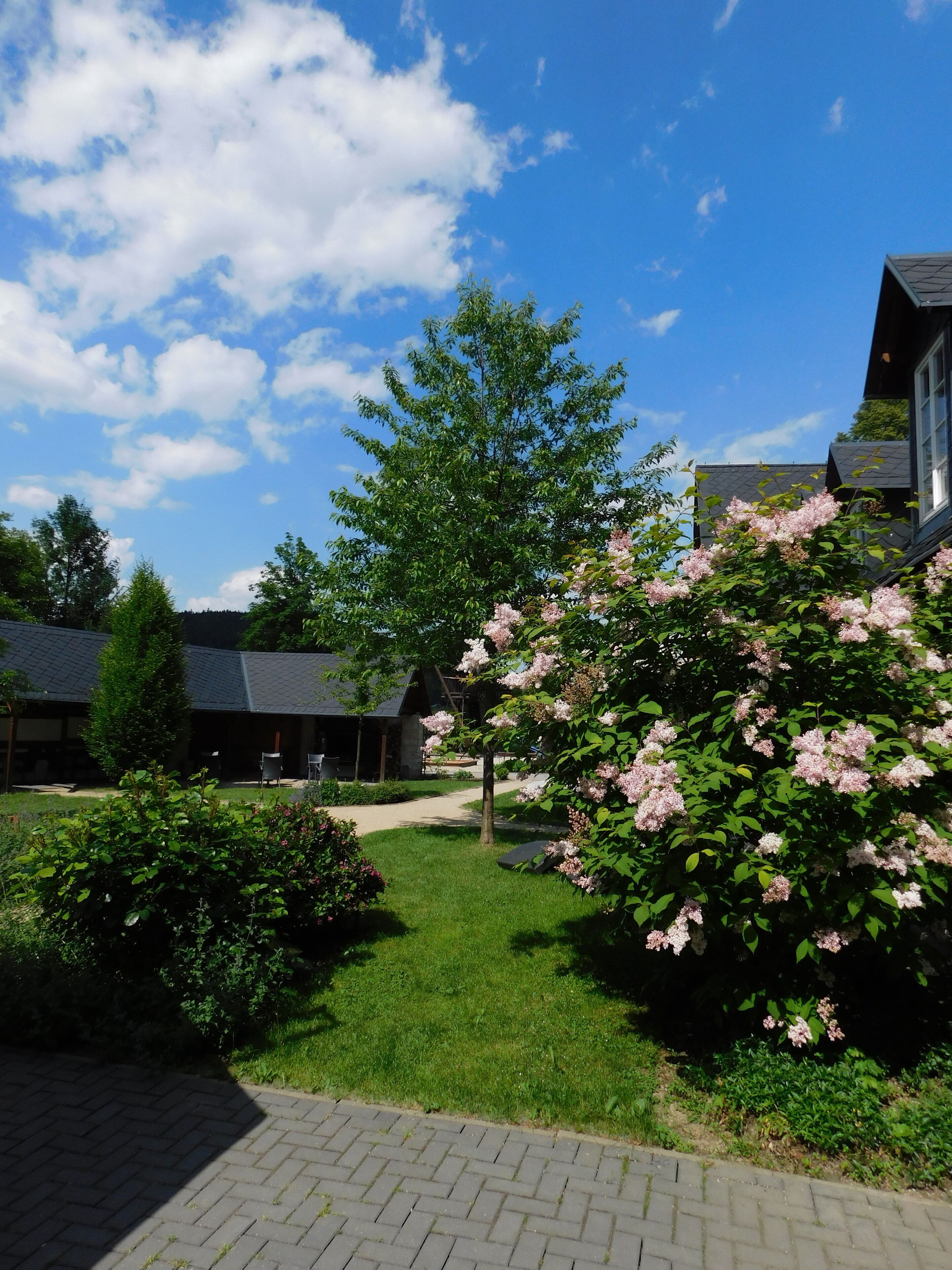 Vue sur le jardin