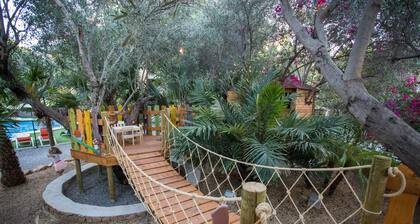 El Palmeral de Madaria