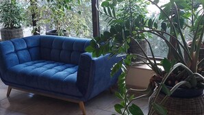 Un sofá azul en una habitación con ventanas amplias y diversas plantas en macetas.