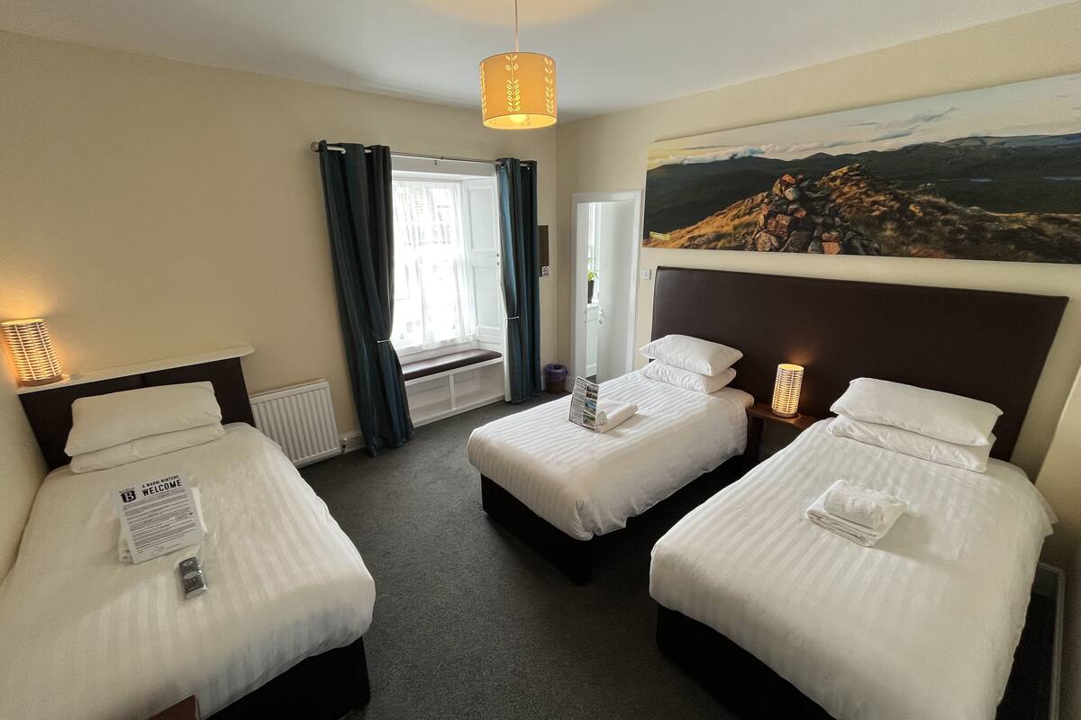Standard Triple Room | Premium bedding, desk, blackout drapes, iron/ironing board (on request)