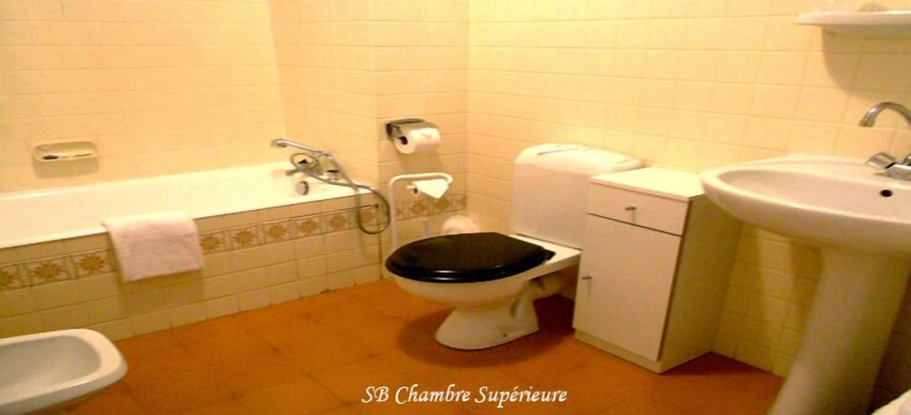 free toiletries, hair dryer, bidet, towels