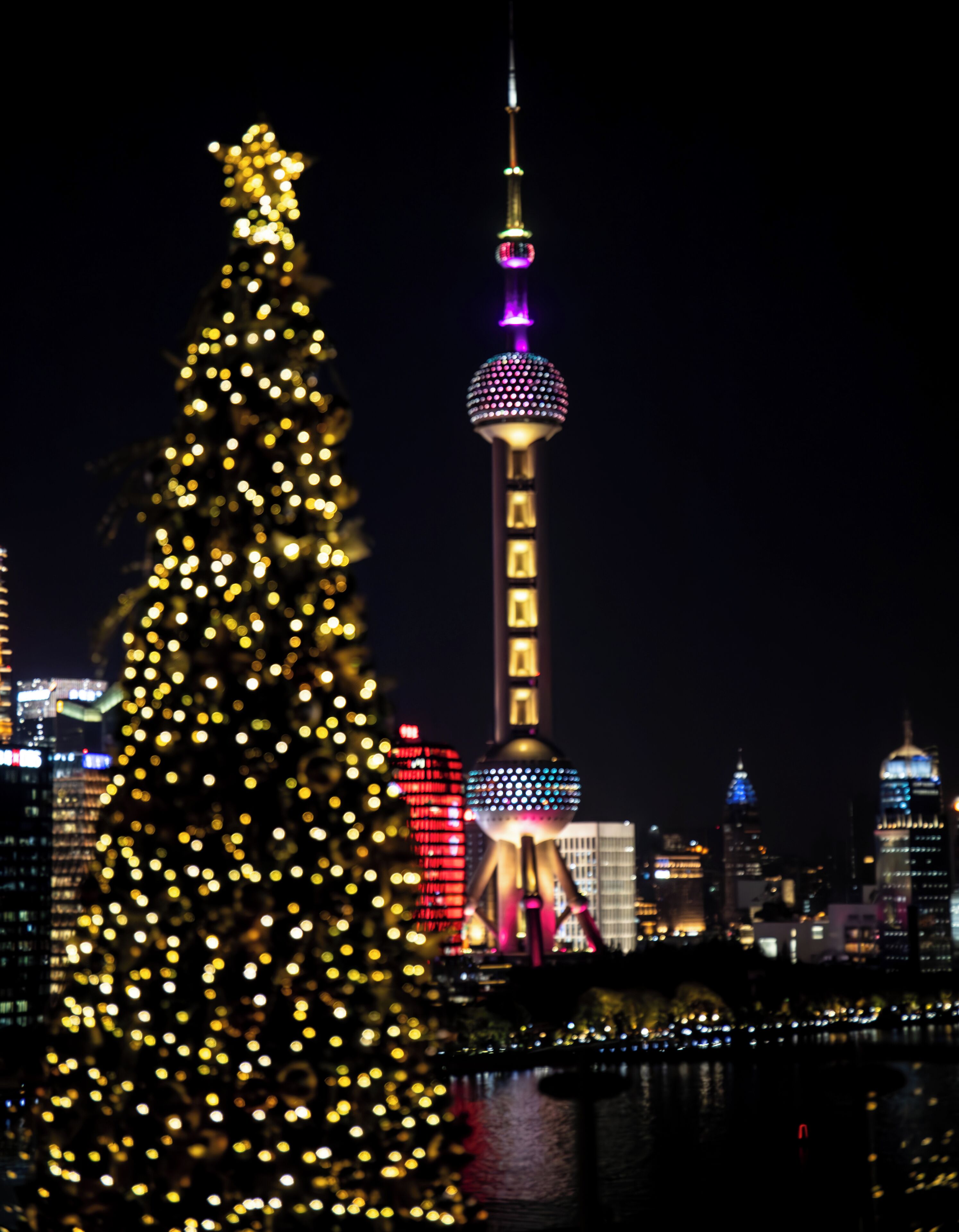 A Christmas tree with lights in front of a cityscape with a tower.