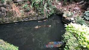 花園