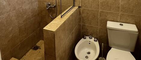 A bathroom with a shower, bidet, and toilet.