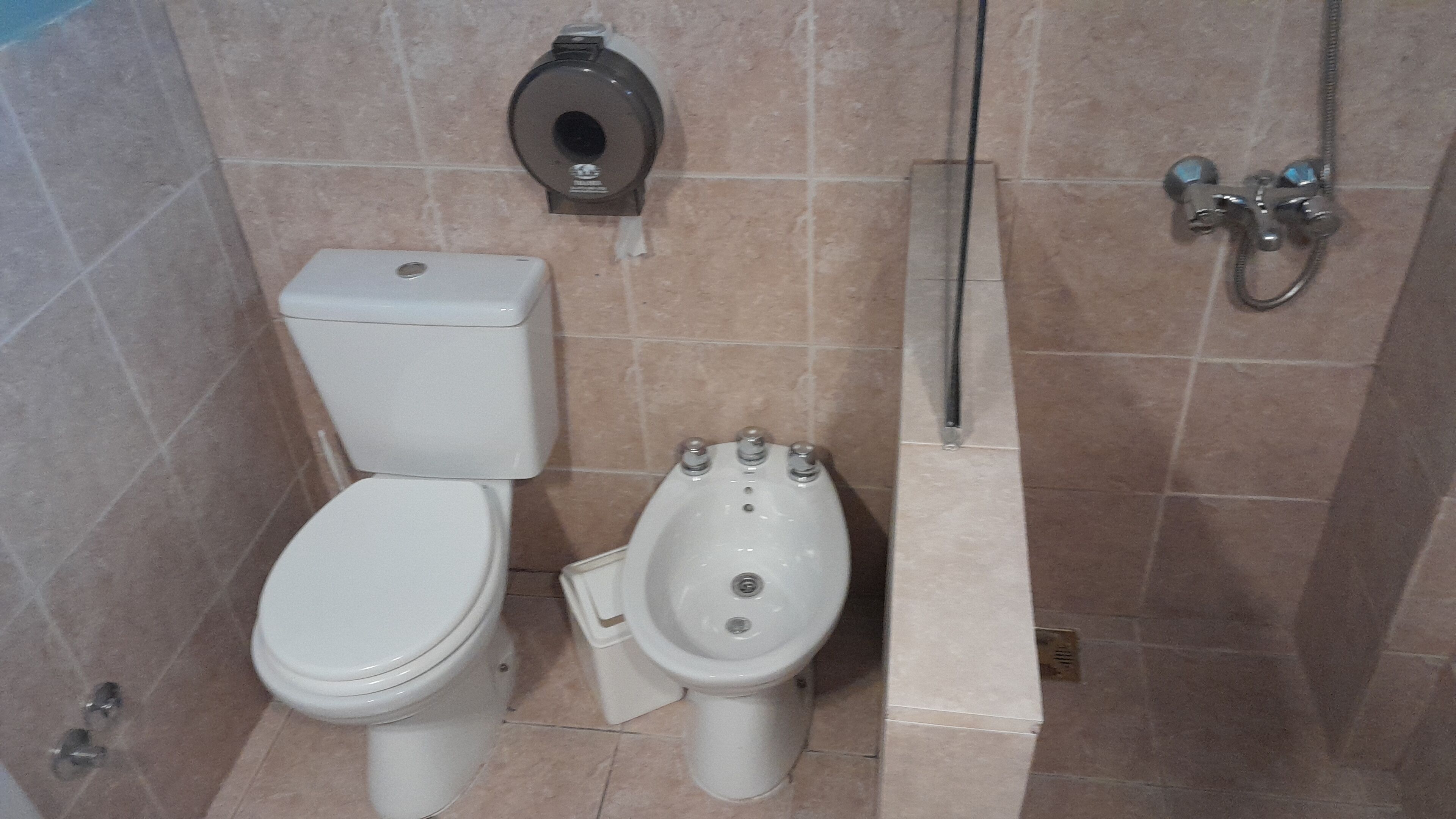 A bathroom with a toilet, bidet, and shower.