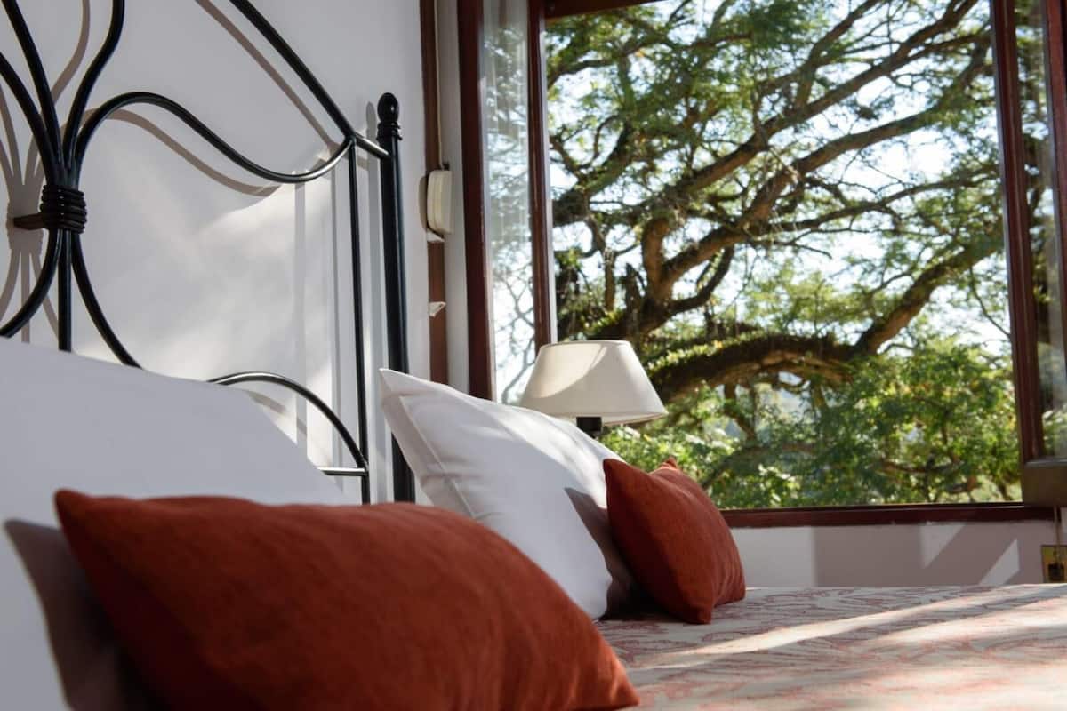 In-room safe, desk, free WiFi, bed sheets