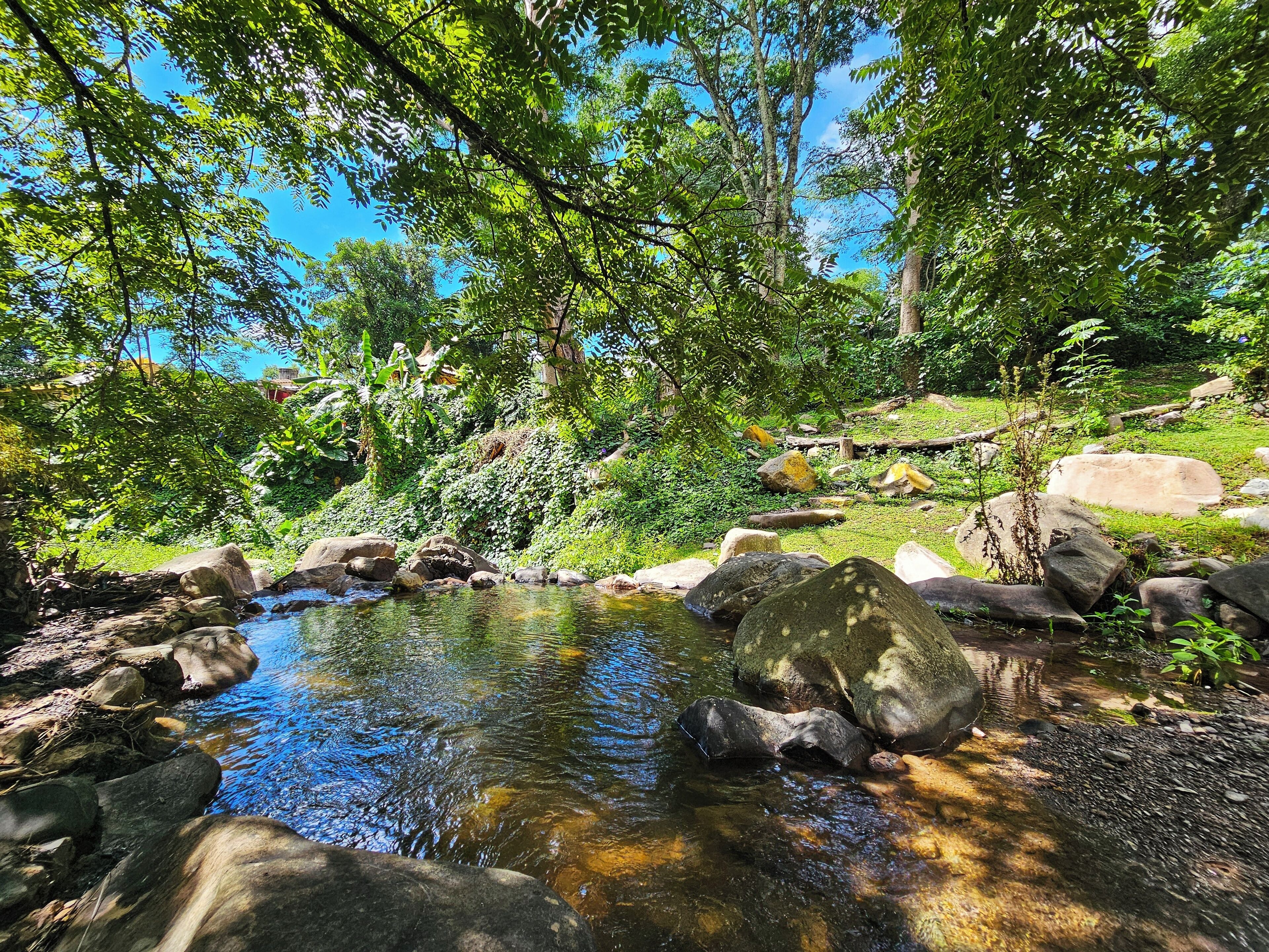 Un entorno exterior tranquilo con un arroyo claro, rodeado de rocas y abundante vegetación.