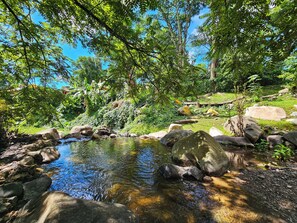 A serene outdoor setting with a clear stream, surrounded by rocks and lush greenery.