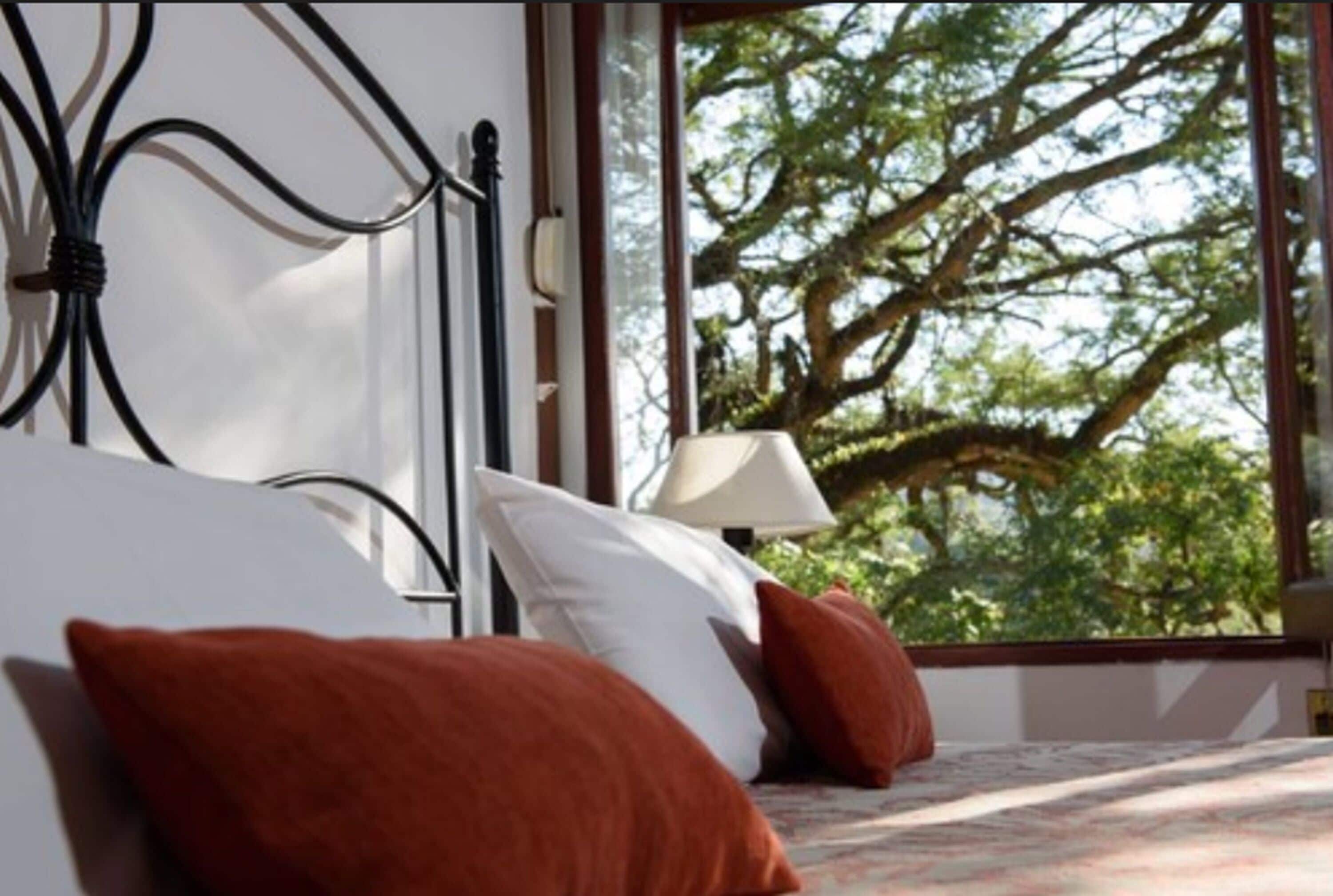 classic double or twin room, 1 double or 2 single beds, mountain view | view from room