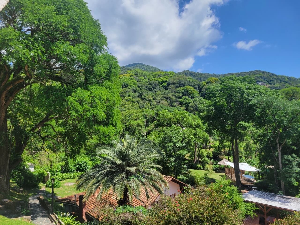 A lush green landscape with a house surrounded by trees and a hill in the background.