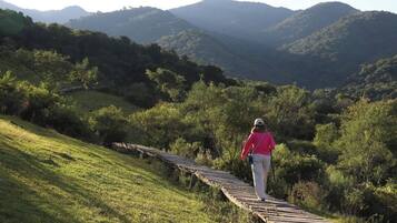 Una persona caminando sobre una pasarela de madera a través de un área con hierba, con árboles y colinas al fondo.