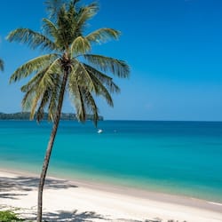 On the beach, sun loungers, beach umbrellas, beach towels