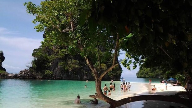 Ein Strand mit klarem türkisblauem Wasser, Menschen beim Schwimmen und Sonnenbaden, und ein großer Baum, der Schatten spendet.