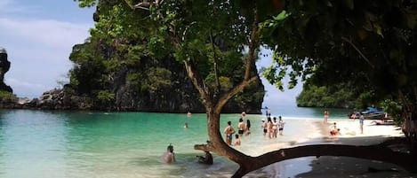 Beach nearby, beach shuttle, kayaking