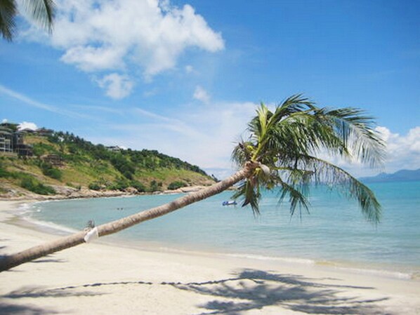 Playa en los alrededores