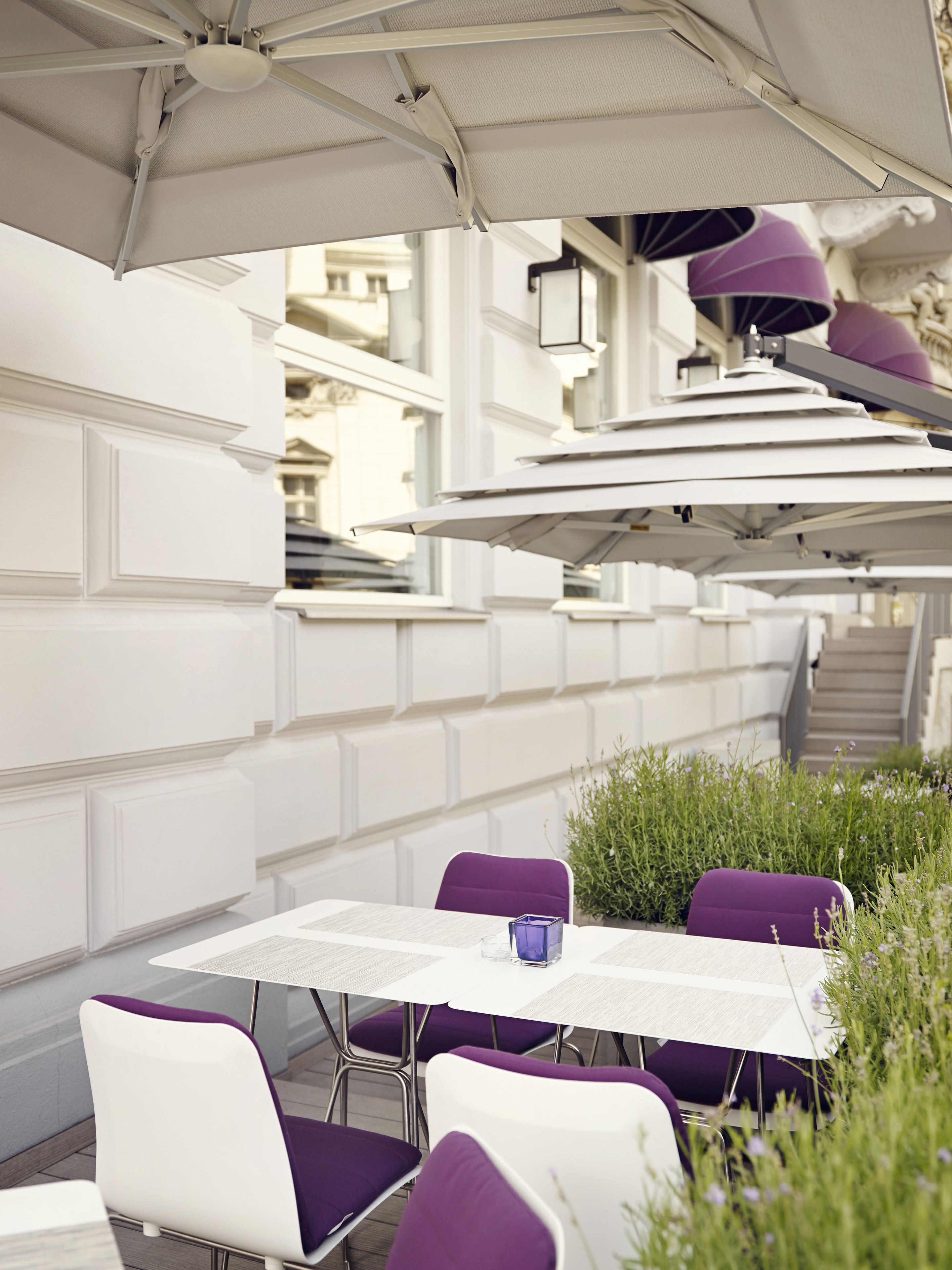 Een terras met witte tafels en paarse stoelen, omgeven door groen en witte muren.