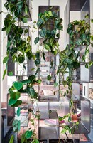 Smáatriði í innanrými