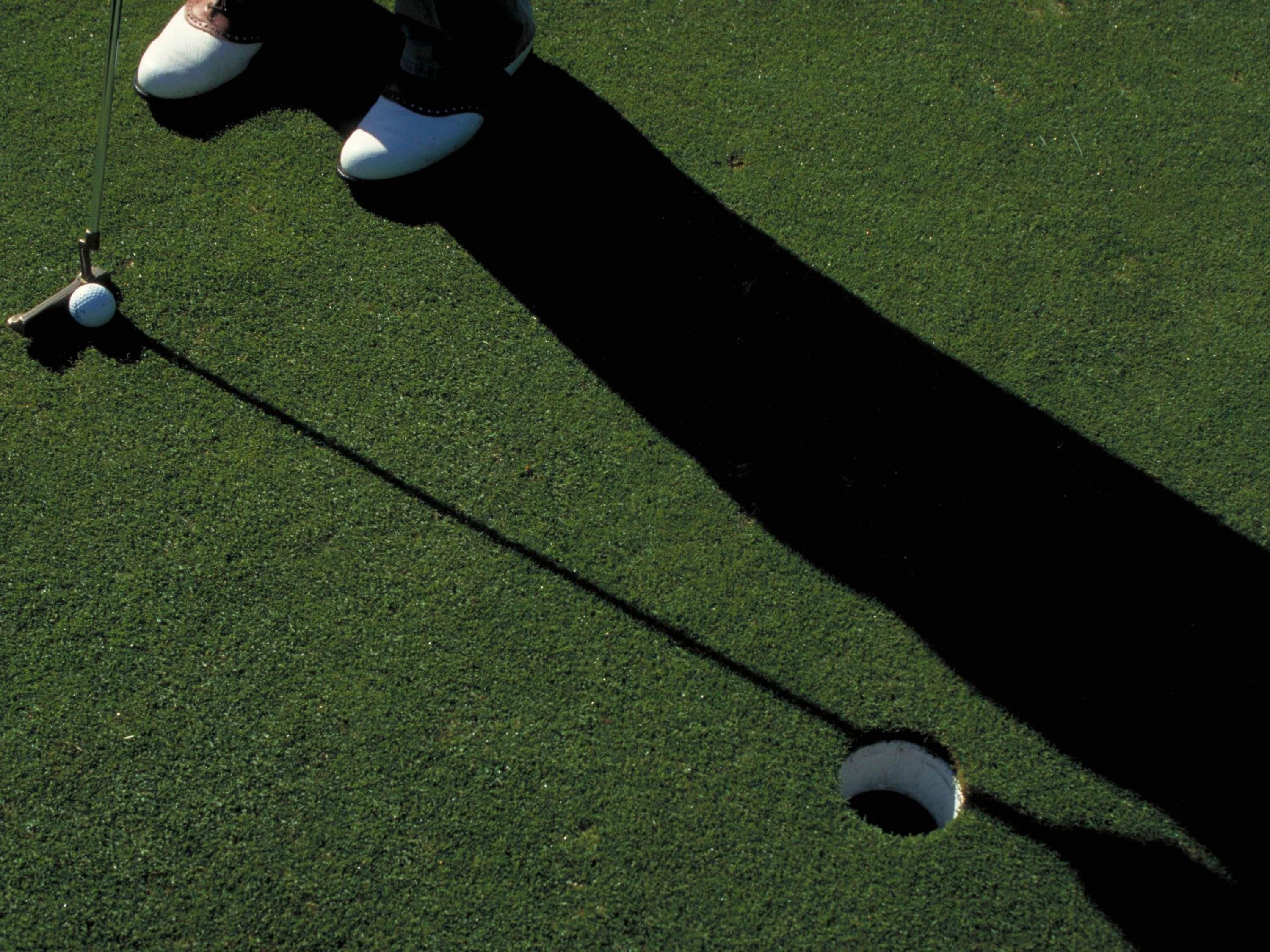 Un campo de golf con un putting green y un hoyo.