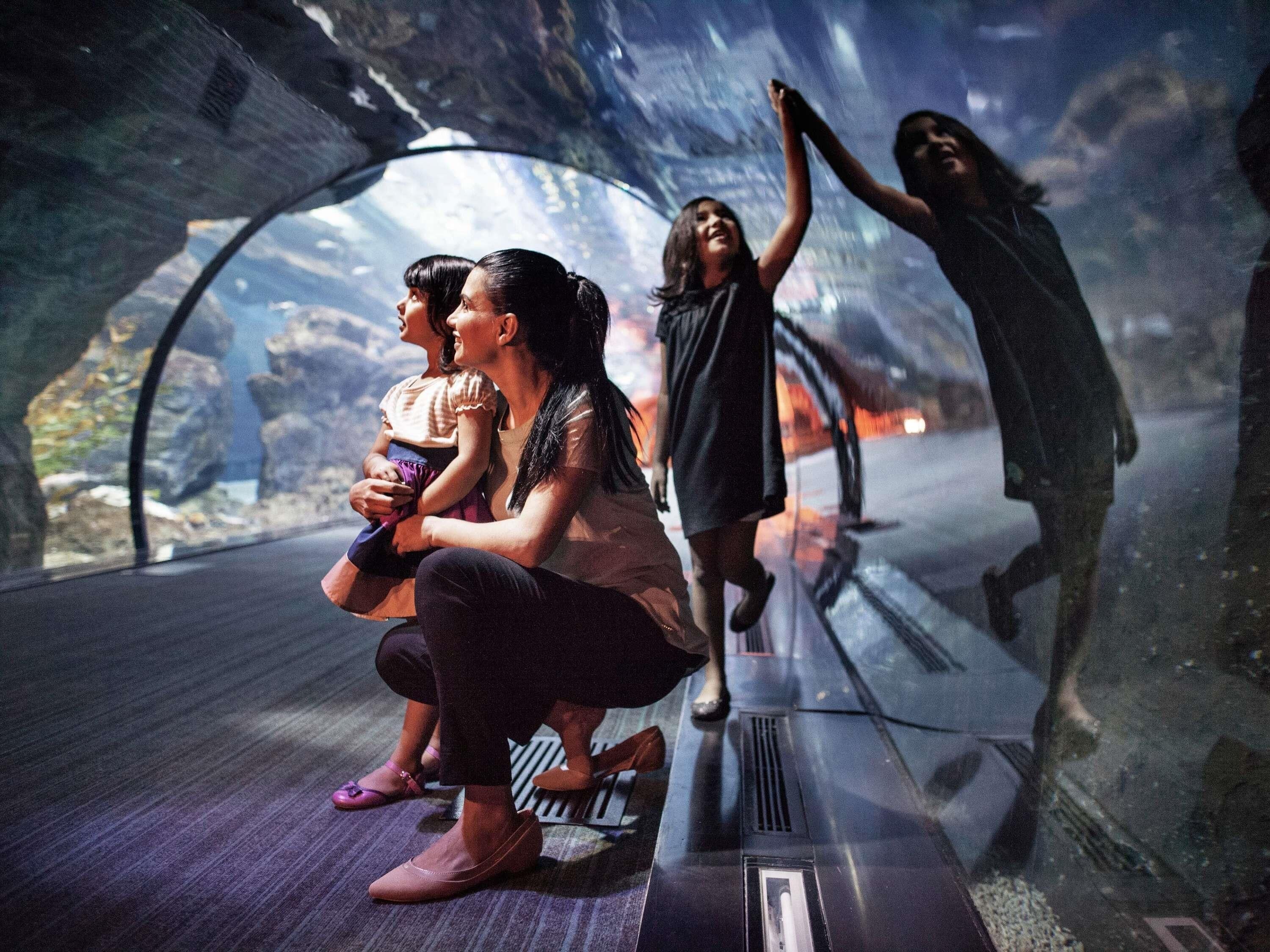 A tunnel-like structure with a reflective surface, possibly an aquarium or museum exhibit.